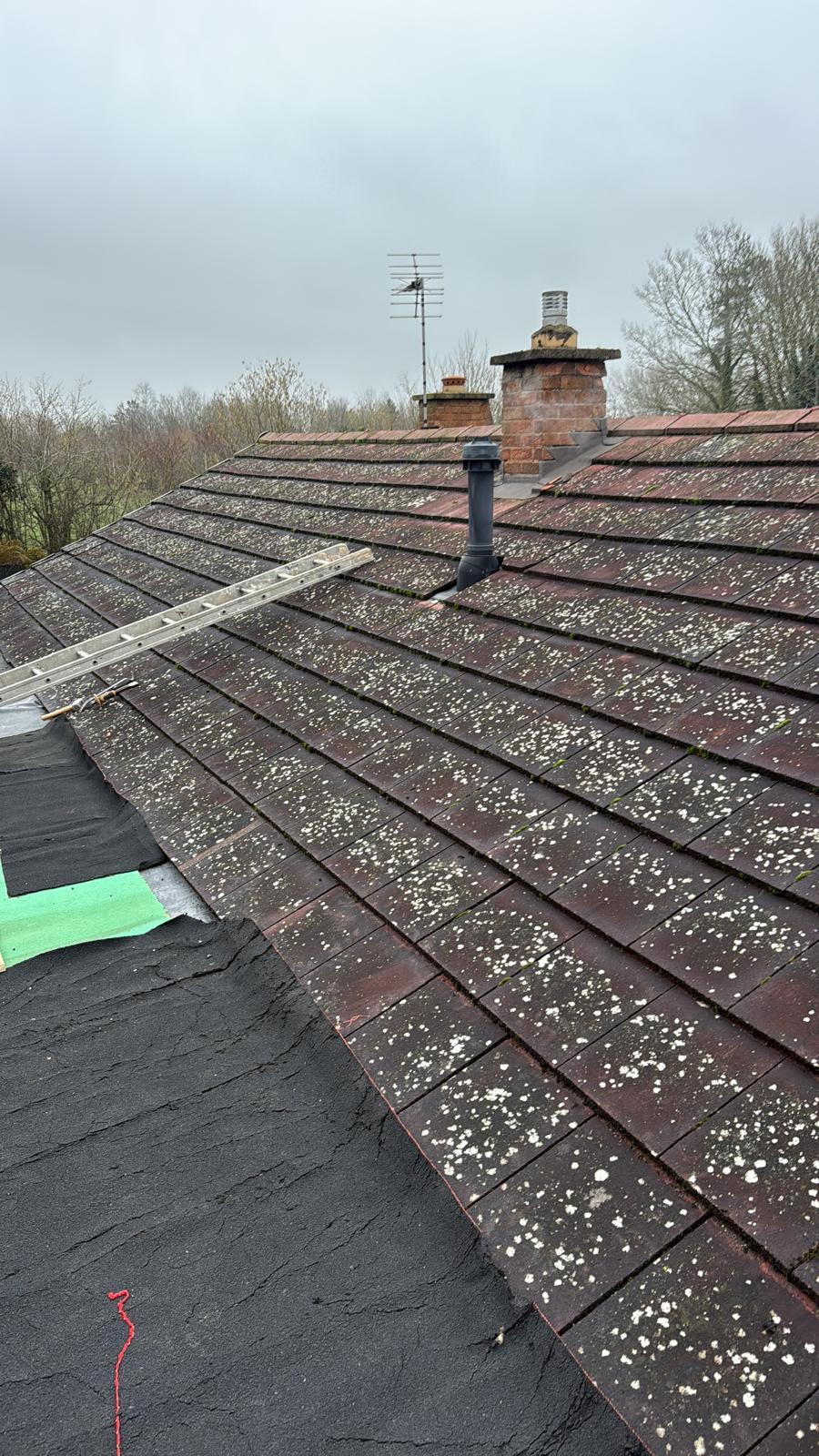 Behind the Scenes: More Than Just Tiles